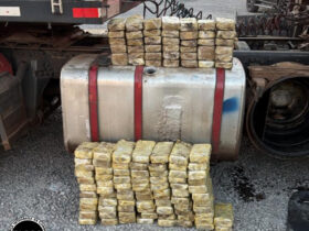 paraguaio pasta base