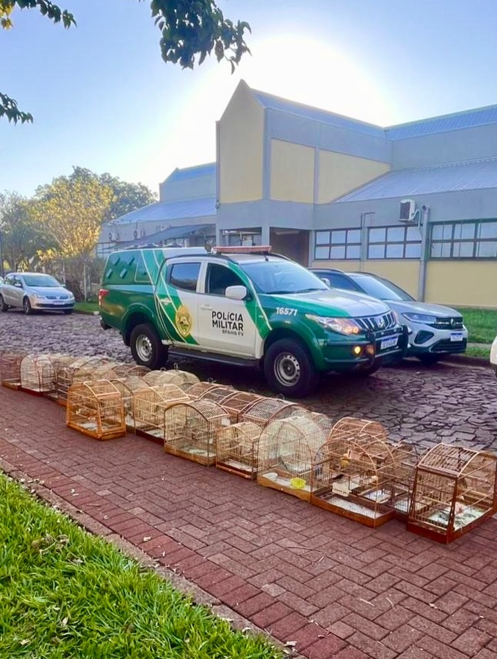 41 aves silvestres mantidas ilegalmente em cativeiro são resgatadas em Guaíra; multas somam R$ 36,5 mil 1 703935742 17945593962191508 5193902757586628209 n