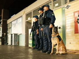 Grupamento K9 @ruan.rec 32.jpg 1536x863 1