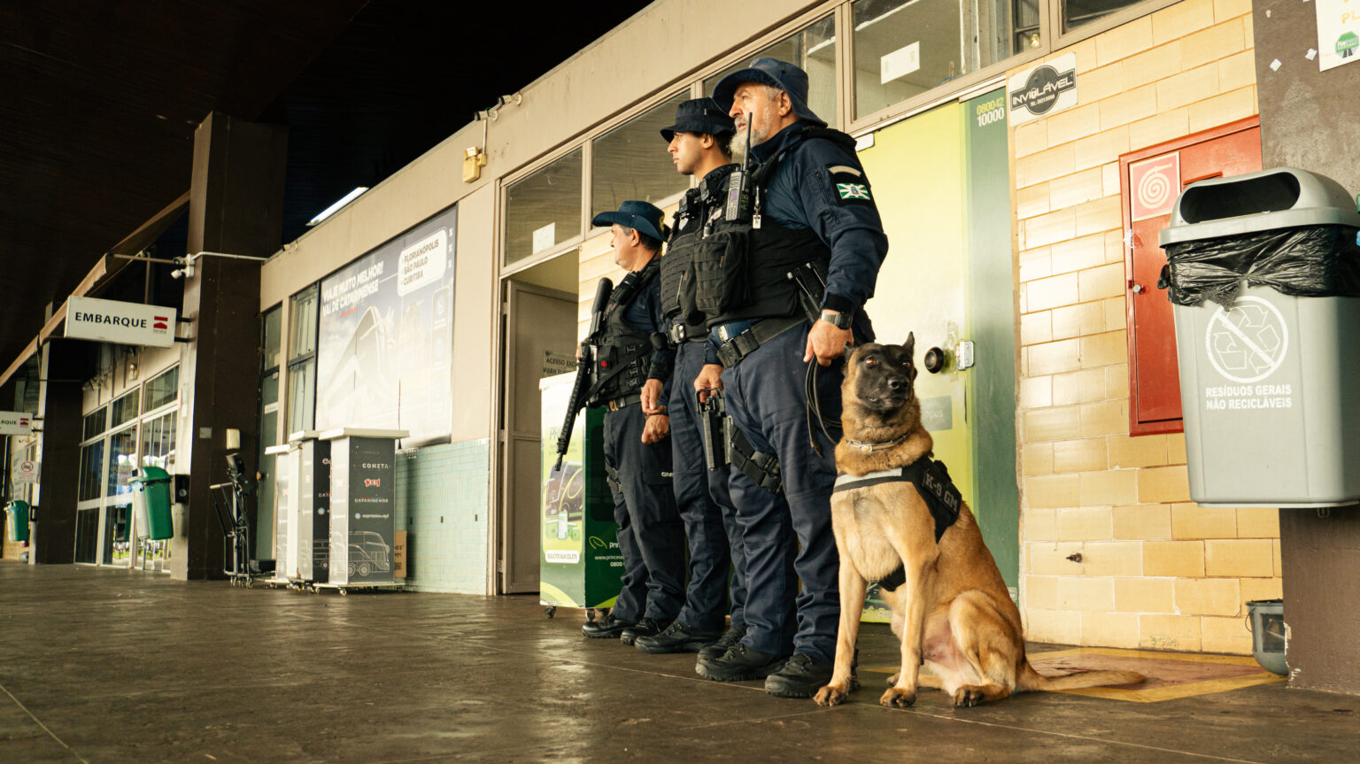 Grupamento K9 @ruan.rec 32.jpg 1536x863 1