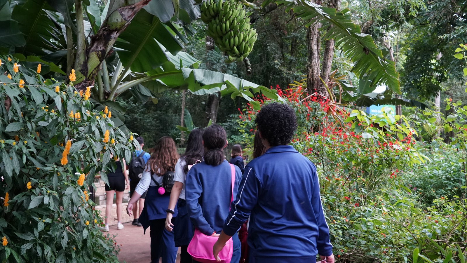 Parque das Aves reforça agendamentos para visitas educacionais em 2026 1 WhatsApp Image 2026 05 25 at 12.38.52