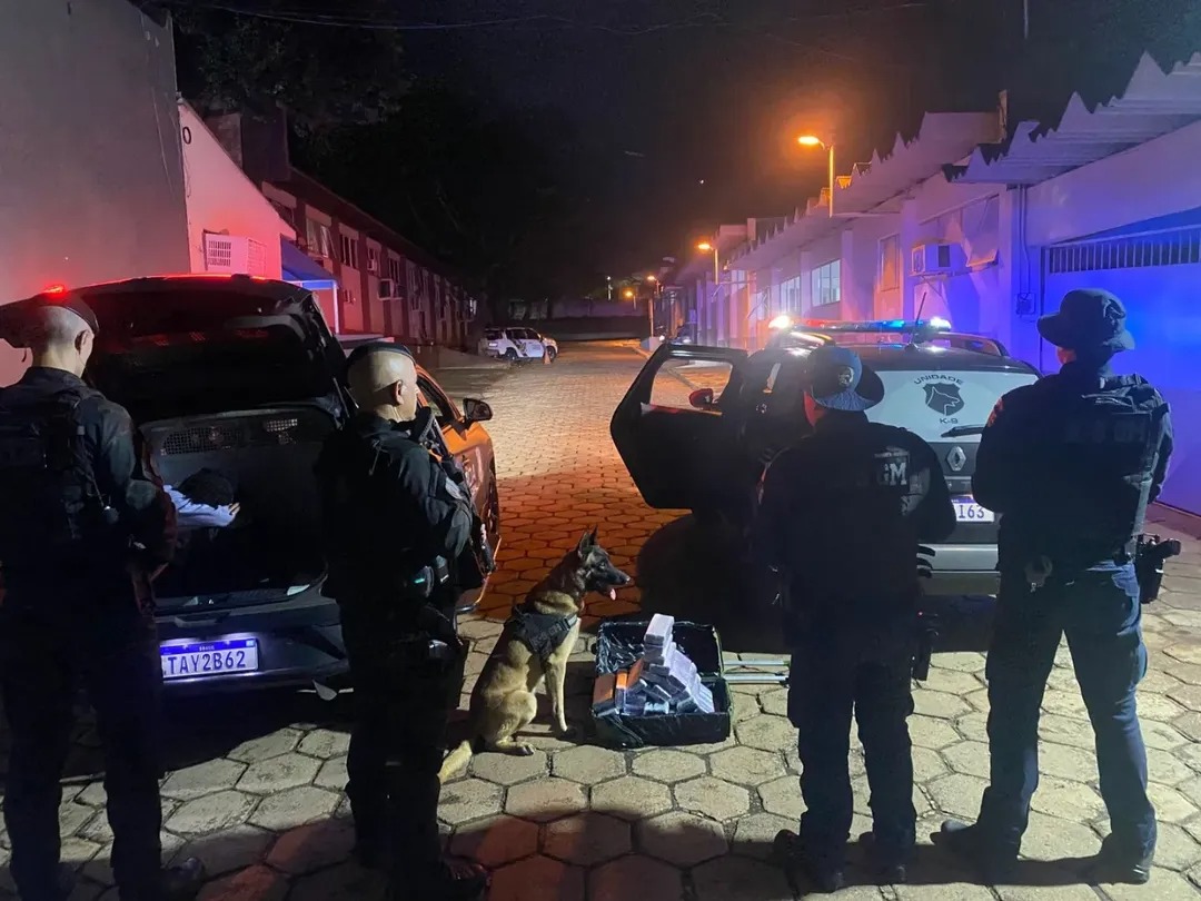Cão farejador encontra mais de 25 quilos de maconha em ônibus que seguia de Foz do Iguaçu para São Paulo 1 cao guarda municipal