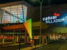 catuai palladium
