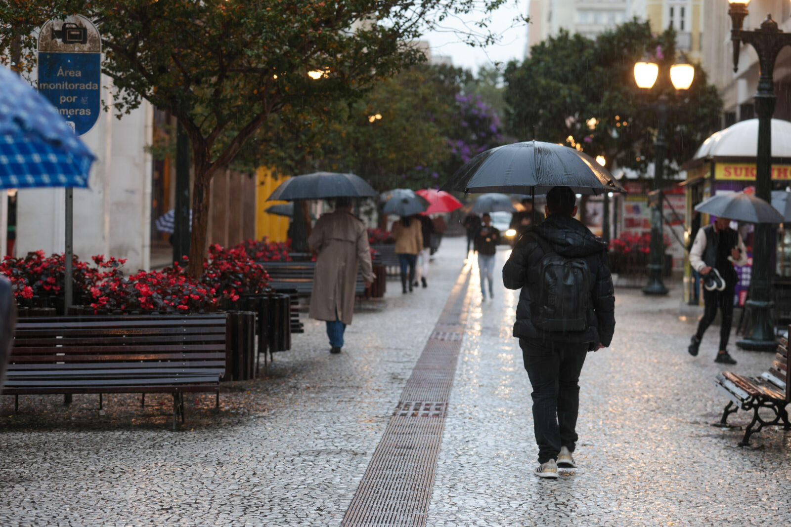Fim de semana será gelado e com chuva em boa parte do Paraná, prevê Simepar. Veja como será em sua região 1 chuva parana