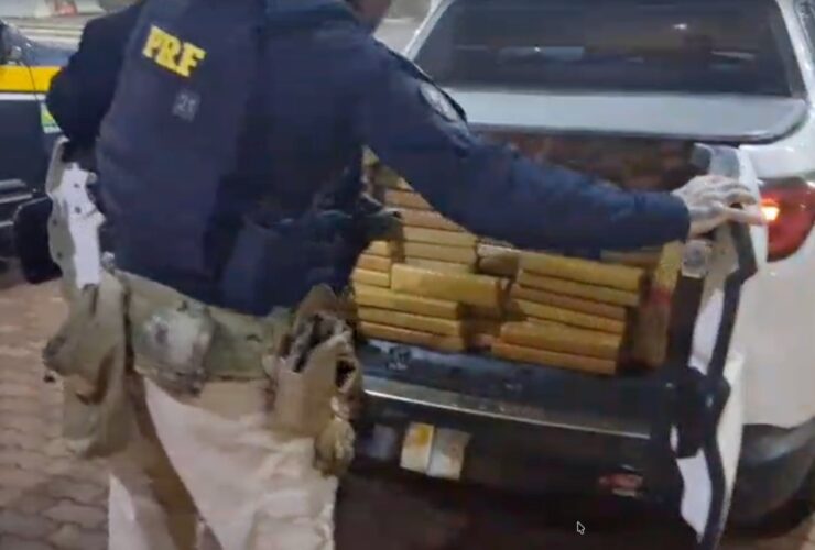 maconha toro