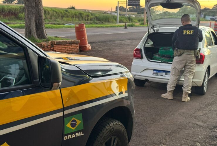 motorista aplicativo