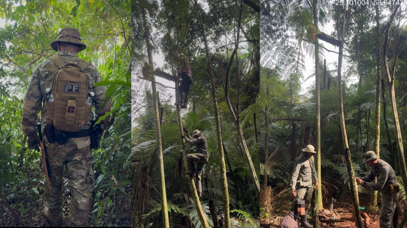Homem é preso em flagrante no alto de estrutura utilizada para caça ilegal dentro do Parque Nacional do Iguaçu 1 caca ilegal