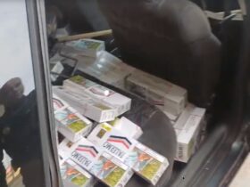 cigarro guaira 1