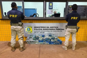 cocaina cascavel