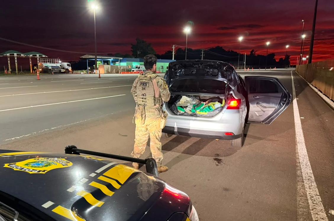 Quase 200 kg de maconha e 5 mil maços de cigarros são apreendidos em operação na BR-277, em Cascavel 1 maconha cascavel