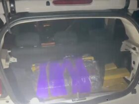 maconha fiati mobi