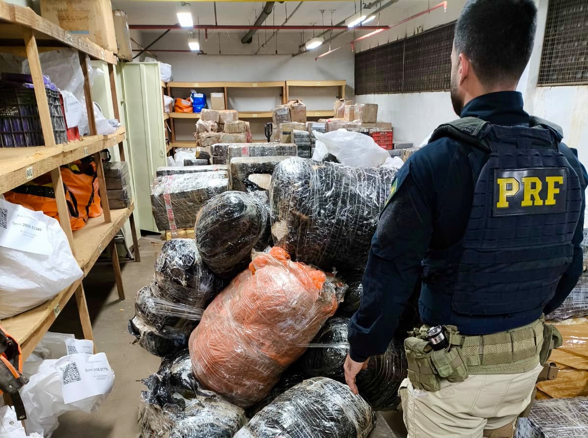 Traficante em fuga bate em viatura policial, foge para área de mata e é preso após 7h de buscas em Céu Azul 1 maconha fuga