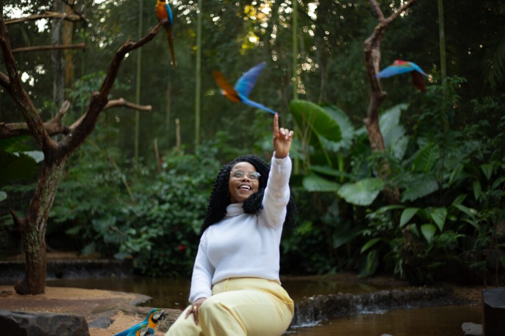 Parque das Aves de Foz do Iguaçu registra melhor agosto de sua história 2 parque das aves