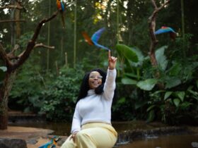 parque das aves