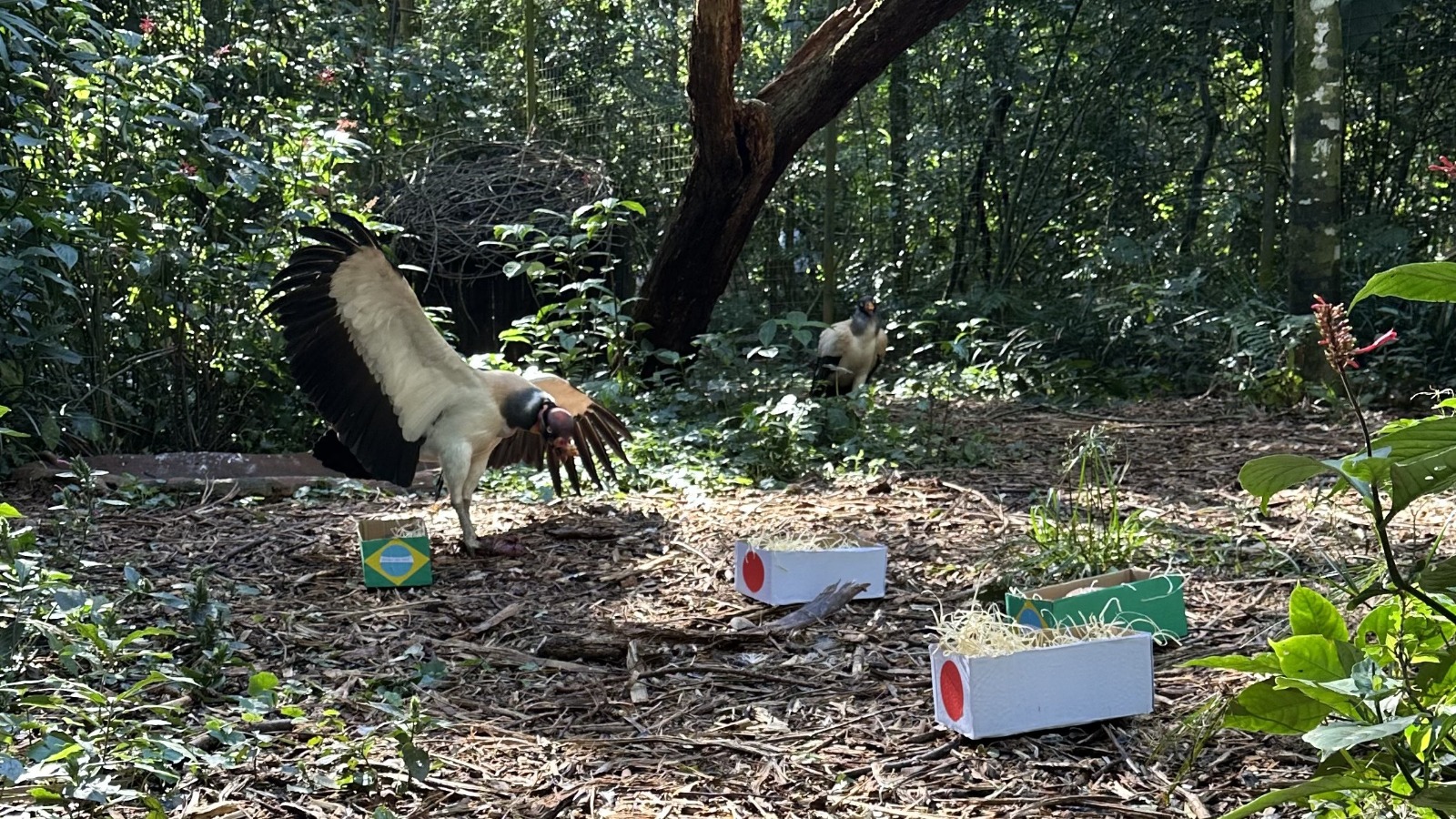 parque das aves 3