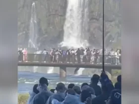 turista pula nas aguas das cataratas do iguacu para recuperar celular 750x375 1