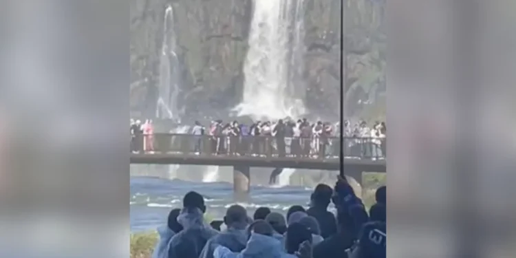turista pula nas aguas das cataratas do iguacu para recuperar celular 750x375 1