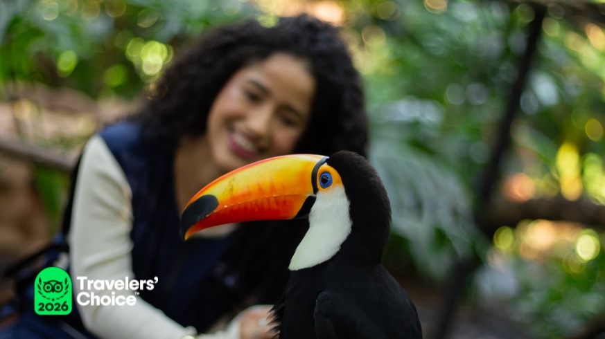Parque das Aves conquista selo Travellers' Choice 2026 1 WhatsApp Image 2026 07 15 at 08.35.49