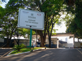 ceasa busca empresas para ocupar boxes e lojas comerciais em foz do iguacu 6a5ba5e53ab7b