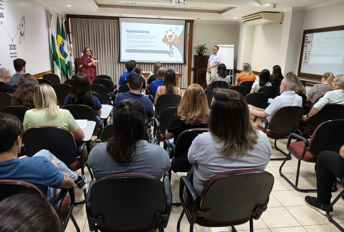 de paula contadores