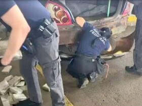 maconha carro 1