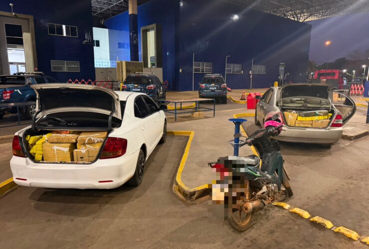 maconha carro
