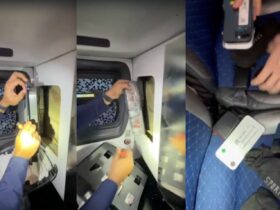 mercadoria onibus