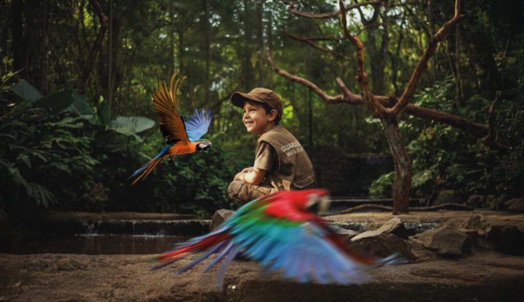 parque das aves 2