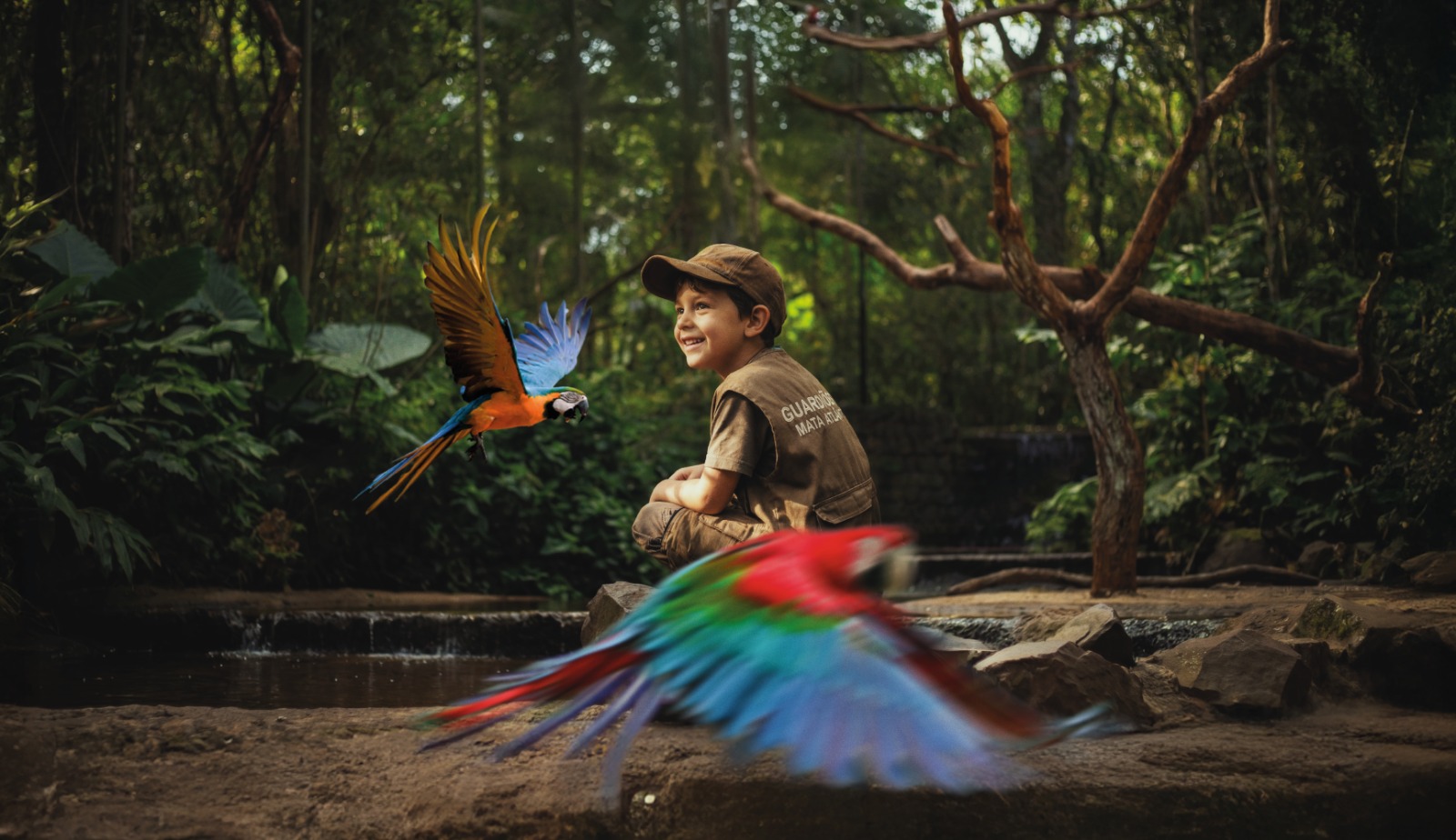 Parque das Aves de Foz abre inscrições para nova edição do Clubinho Guardiões da Mata Atlântica 1 parque das aves 2