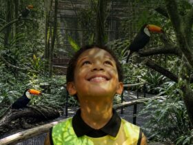 parque das aves
