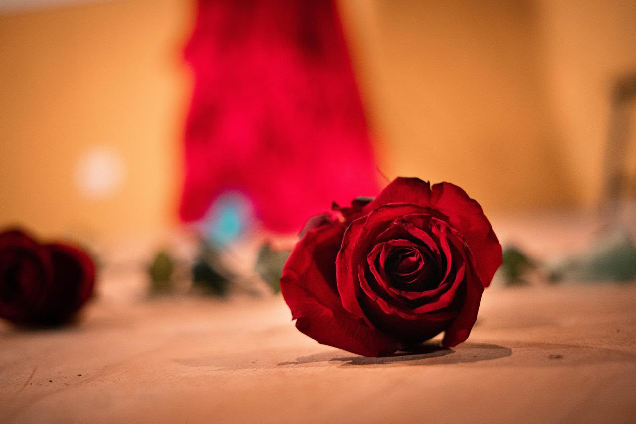 rosa isel talavera