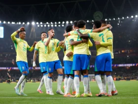 selecao brasileira futebol