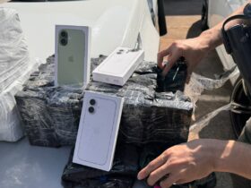 celulares br