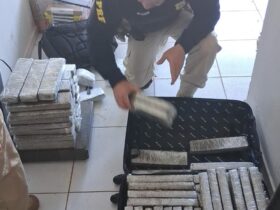 maconha adolescente