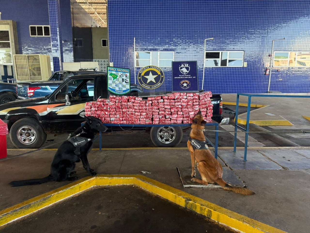 maconha caminhonete