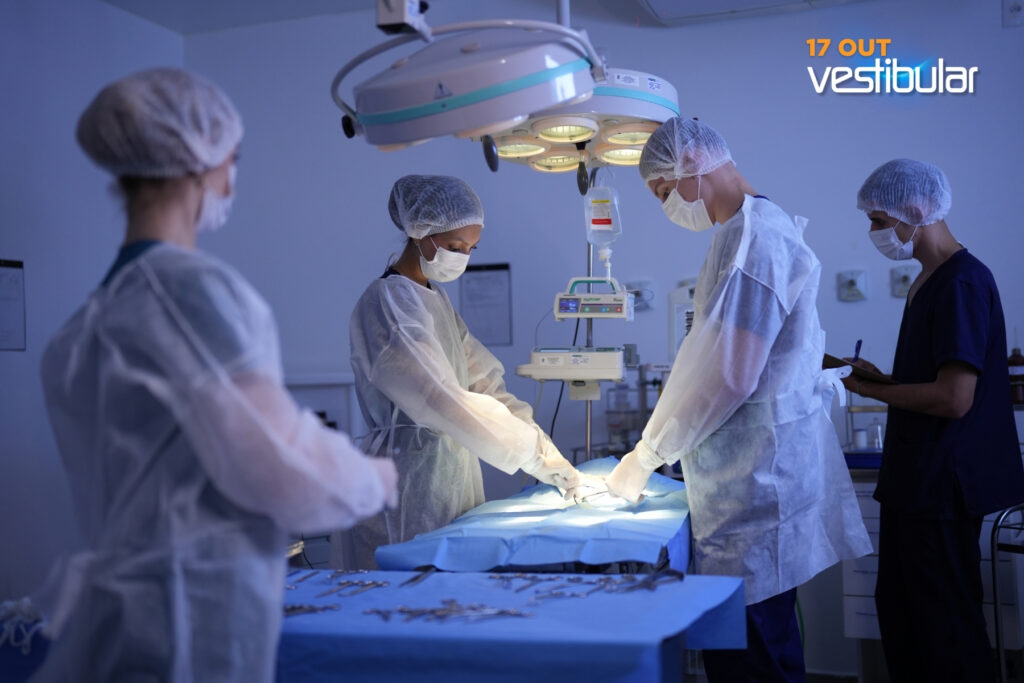 UDC abre Vestibular de Verão 2027 com novos cursos em Medianeira e formação conectada ao futuro 2 5