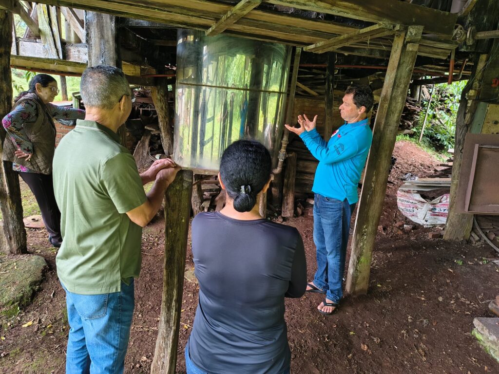 aula citronela