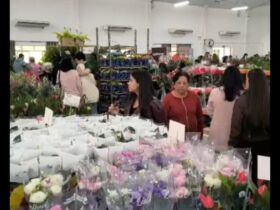 ecoflores 2026 a
