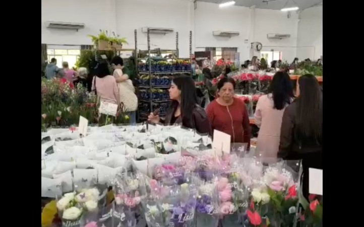 ecoflores 2026 a