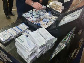 medicamentos ponte 2