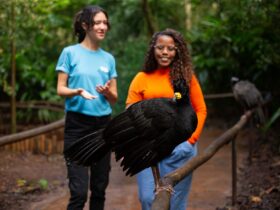 parque das aves
