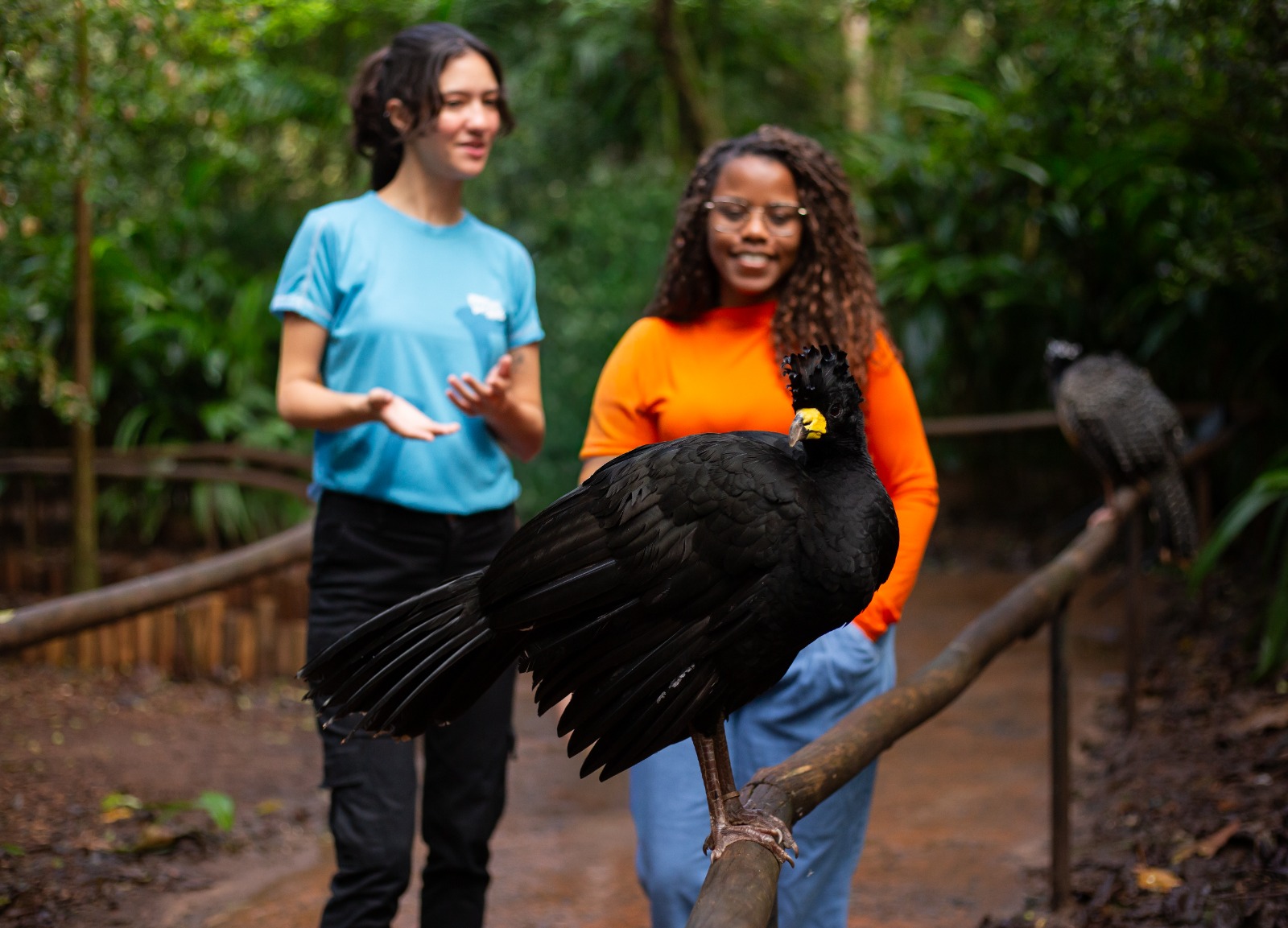 parque das aves