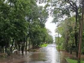 alagamento foz 1450x727 1140x572 1