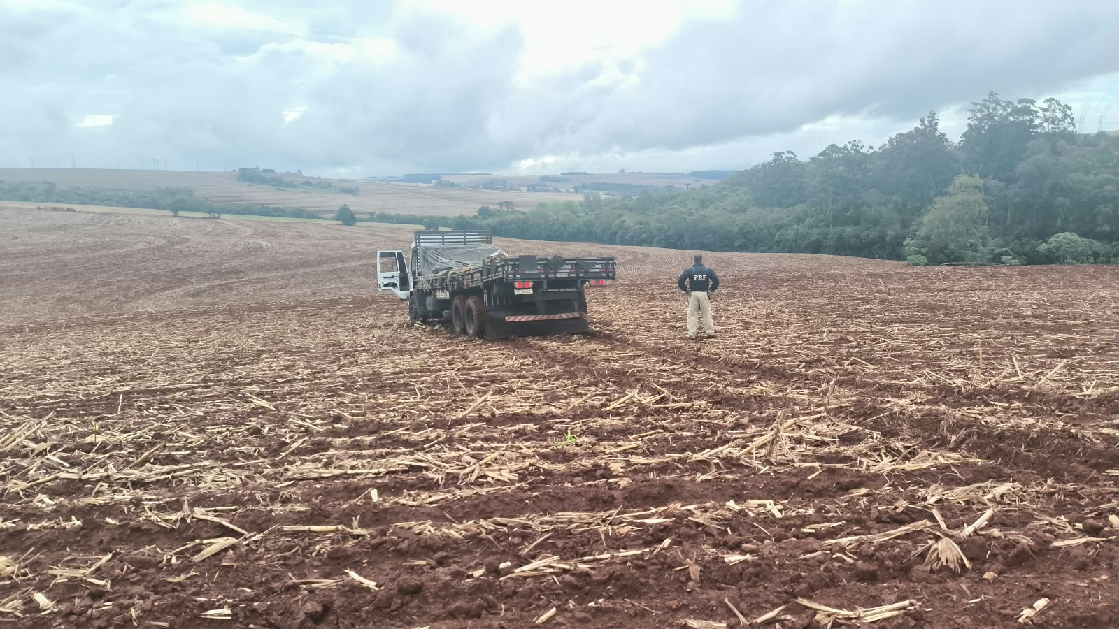 caminhao maconha