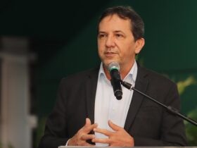 chico brasileiro