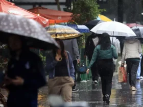chuva e guarda chuva