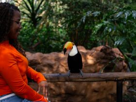 parque das aves 2