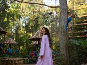 parque das aves
