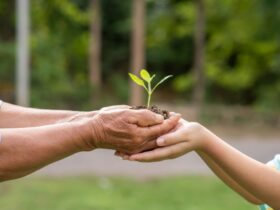 sustentatibilidade